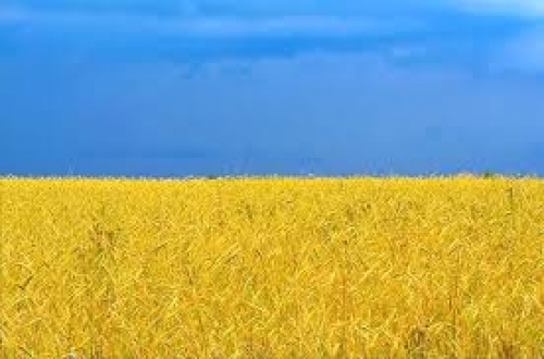 В Силламяе відбудеться освітній семінар